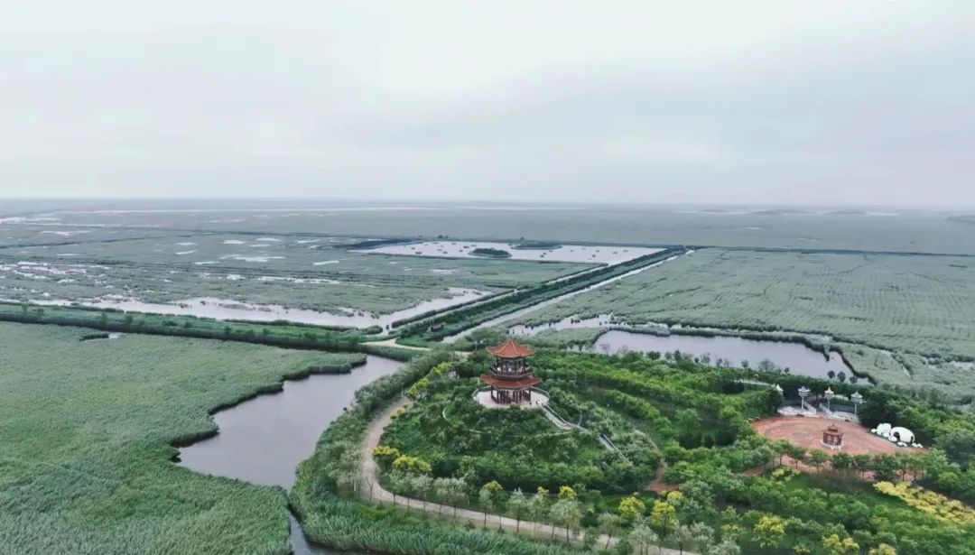 南大港产业园区成为省级全域旅游示范区|旅游景区_新浪财经_新浪网