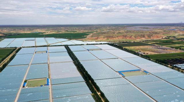 7月19日拍摄的银川市兴庆区月牙湖乡穹顶(宁夏)生态科技有限公司蜜瓜