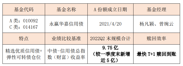 “上半年主“债”场有哪些能“打”的产品？