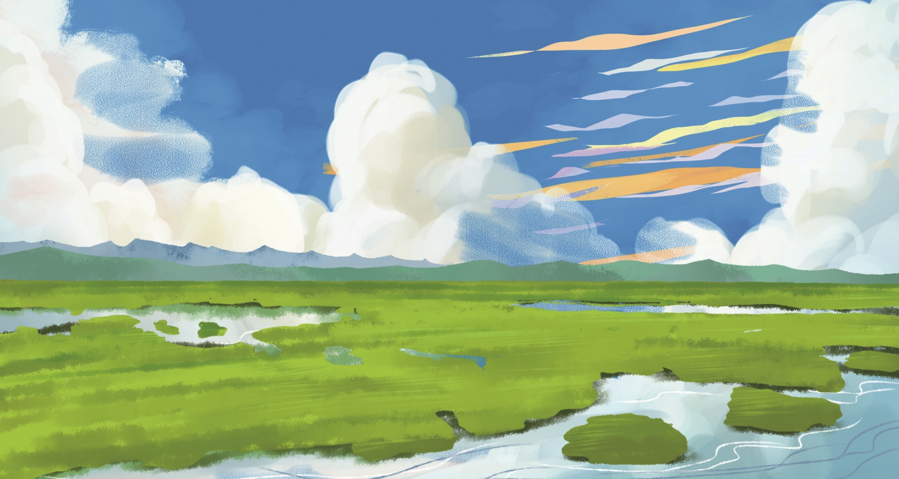 本版插画文在四川若尔盖县,我终于见到了期待已久的热尔大草原.