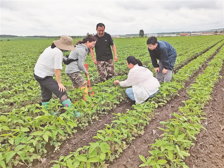 植保员指导农民进行大豆病虫害防治.郝东 本报记者 刘柏森摄