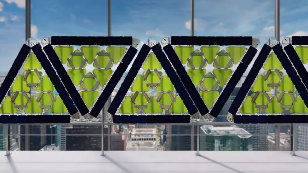 图说：微藻生物建筑板可以调节温度，减少夏季的制冷费用来源：Greenfluidics