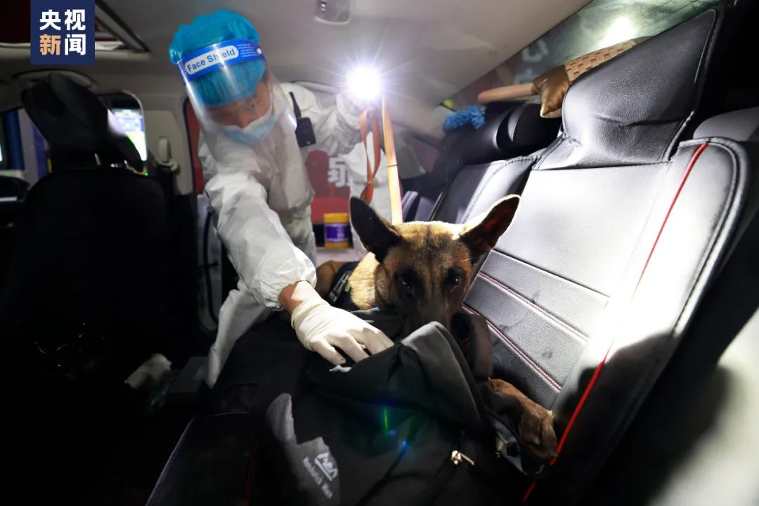△移民管理警察携缉毒犬对来往车辆进行检查