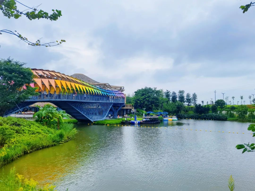 华侨城古劳水乡.何雯意 摄