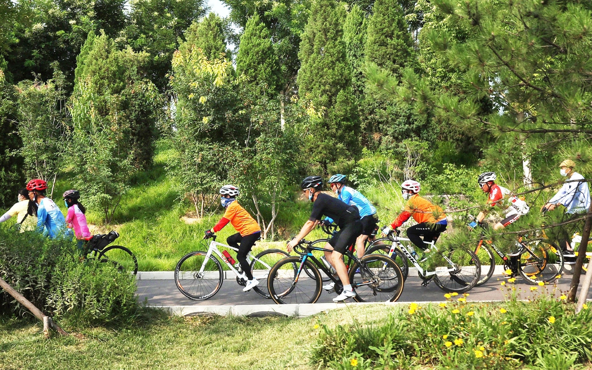 绿道骑行成为活力之城金名片