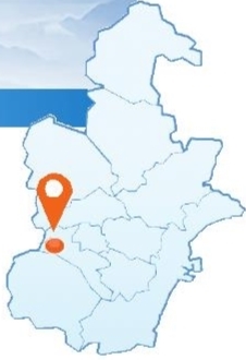 西青区辛口镇第六埠村 生态六埠 亲水记 水稻 新浪财经 新浪网