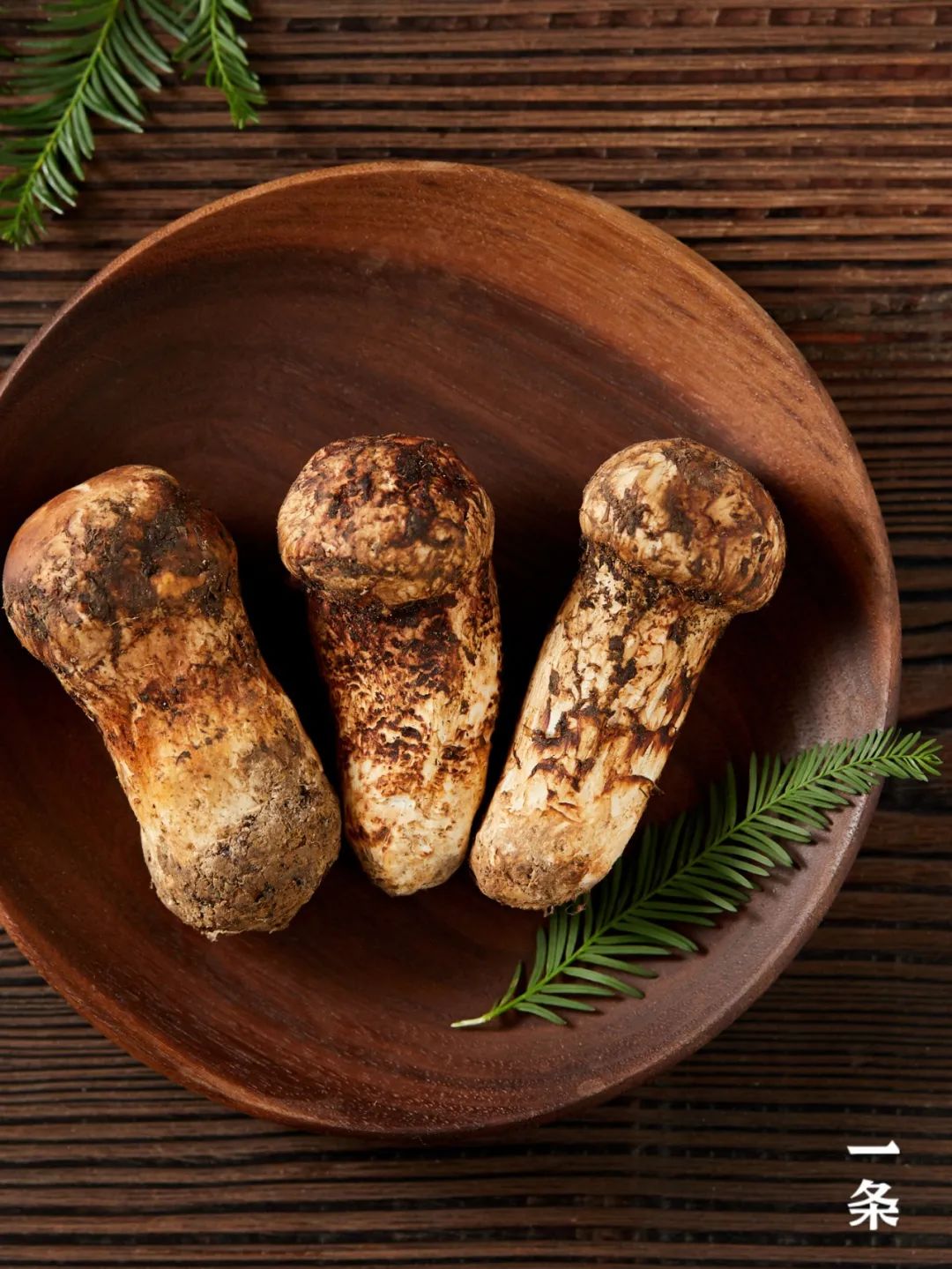 海拔00米以上的野生鲜松茸 当季现采 冷链送到家 松茸 新浪财经 新浪网