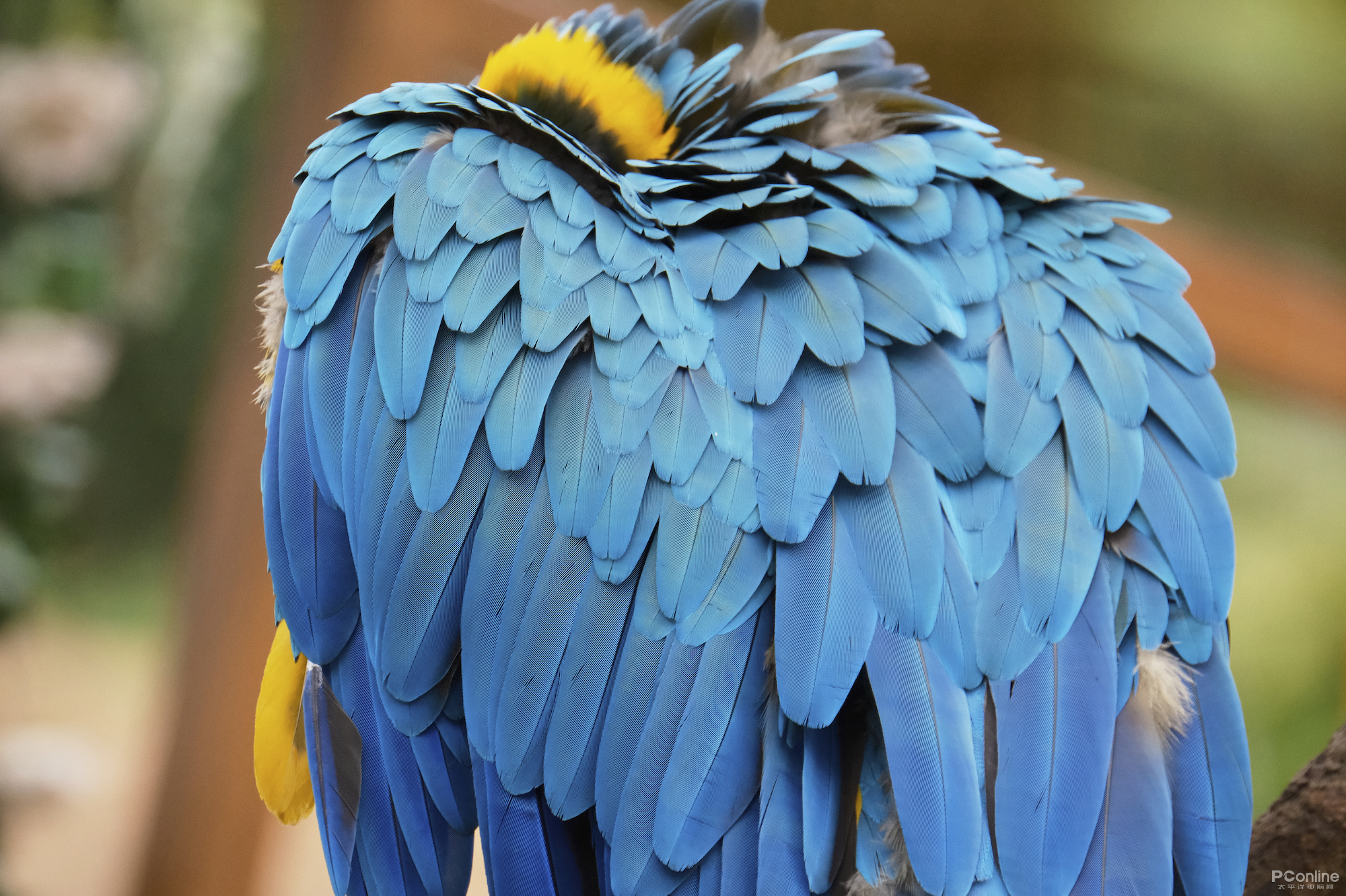 5d41-ba71d522f624b18a7b0a8218dbcabb32.jpg