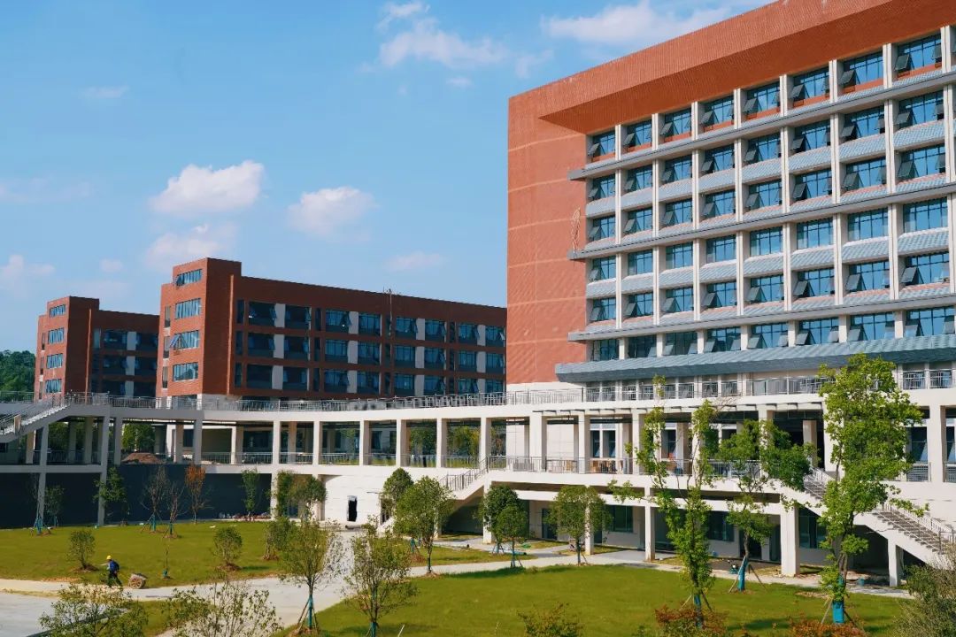 枫溪学校纳入市二中教育集团!|合作办学_新浪财经_新浪网