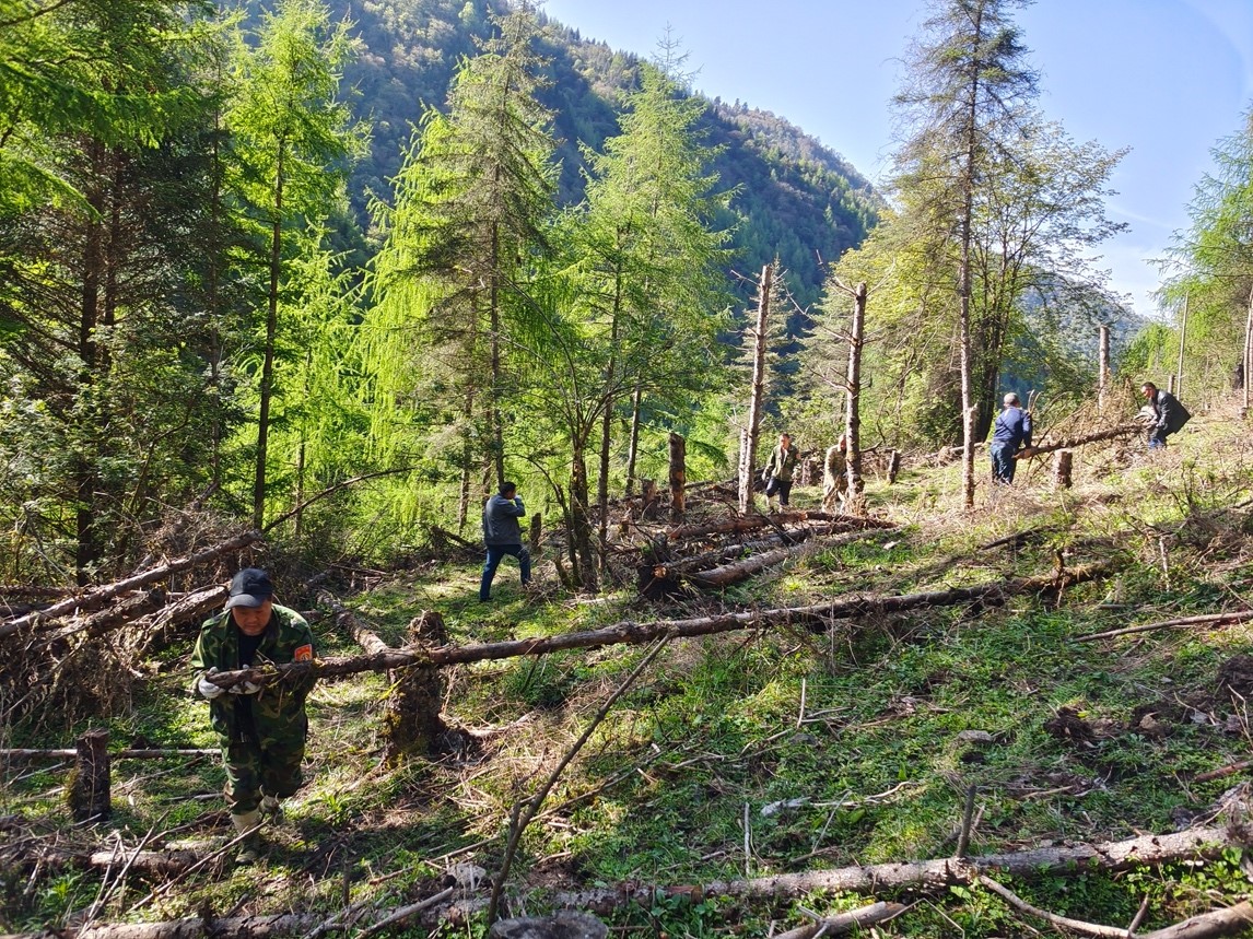 厚植绿色希望 恒生中国"种·未来"项目践行金融向善|基金会_新浪财经_