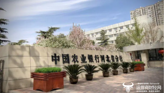 农行河北省分行副行长杨帅是女高管名校毕业学历高 从海南平调而来