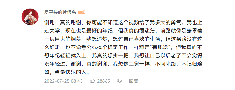 《回村三天,二舅治好了我的精神内耗》观众留言截图