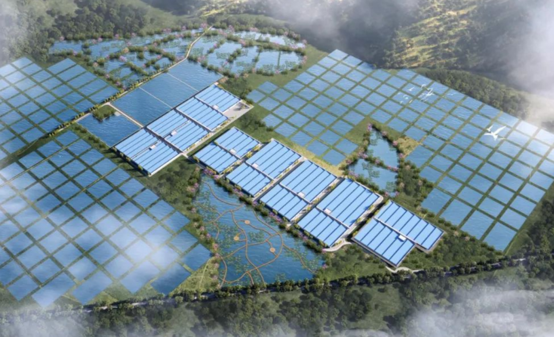 白鸽山信息化,工厂化,生态式养殖基地效果图(局部)