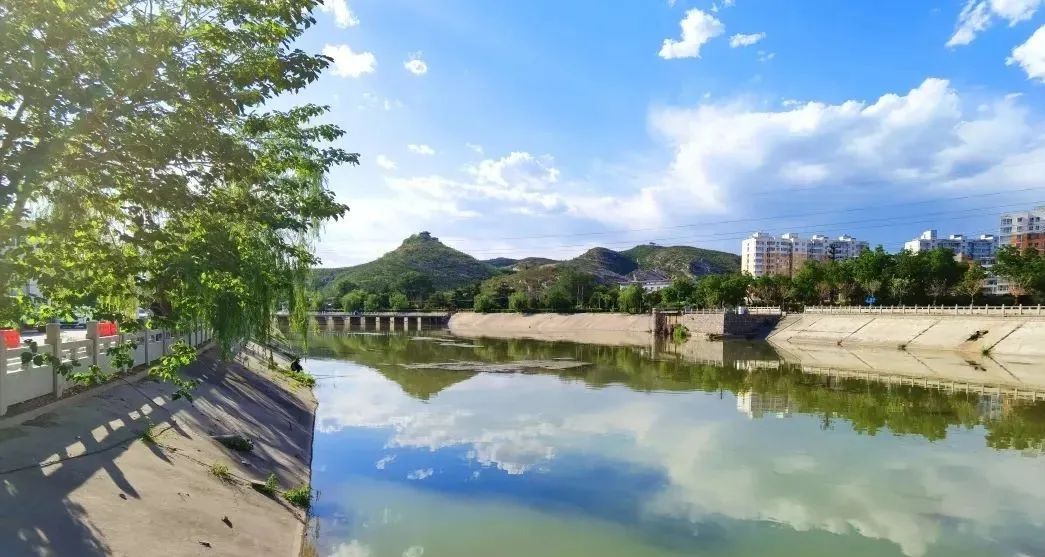 峰峰:滏阳河畔 美景"上线"|花海_新浪财经_新浪网