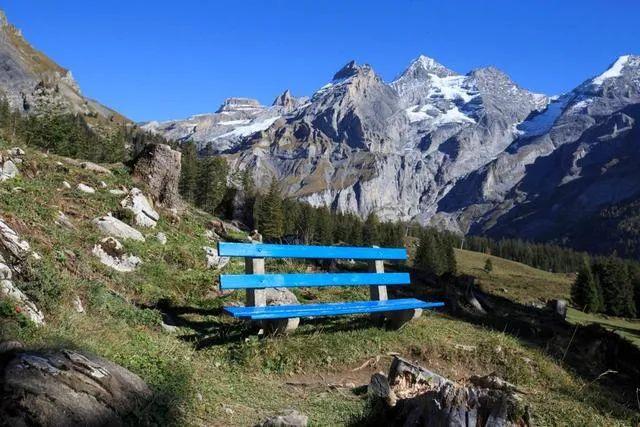 ▲瑞士伯尔尼州境内的阿尔卑斯山区风景。因气候变化，近40年来，阿尔卑斯山正在由“白”转“绿”。图/新华社