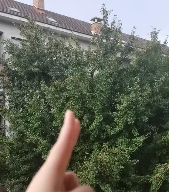 据视频内容,张女士一一做着"风火雷电破"手势,并配合念出相应字句.