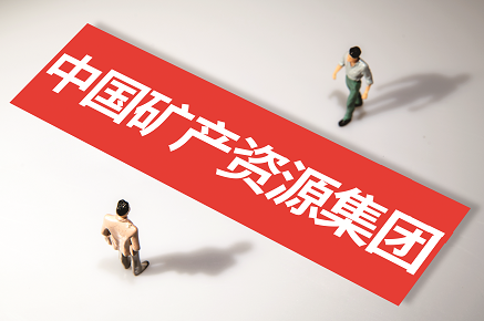 《法治日报》记者 吕斌