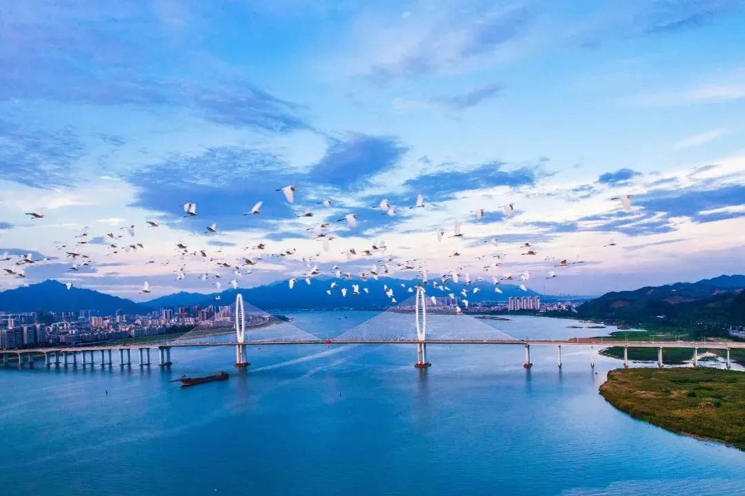 阅江大桥 肖志君&nbsp;摄