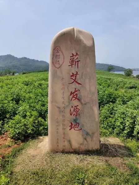 (神州蕲艾旗下金麒麟蕲艾专业合作社"蕲艾发源地"石碑)