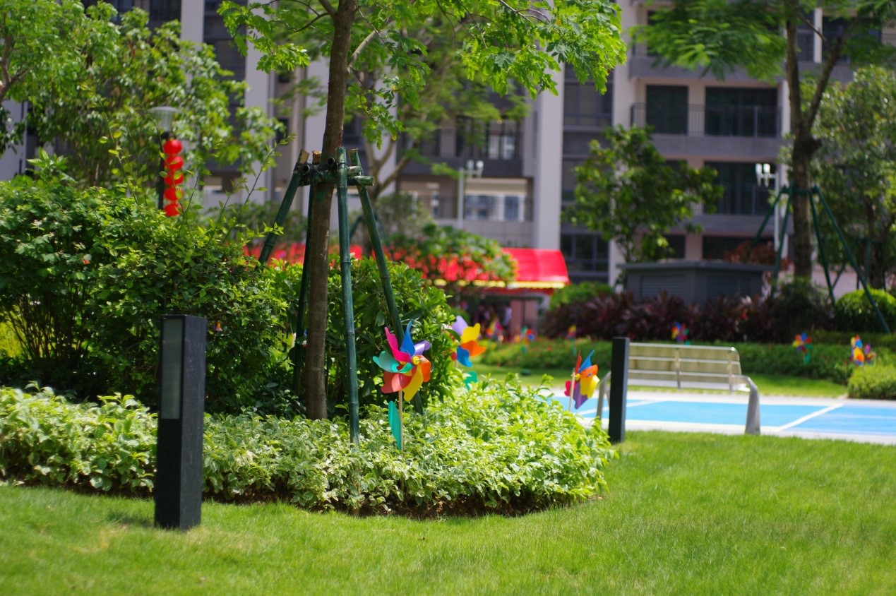 小区园林实景图