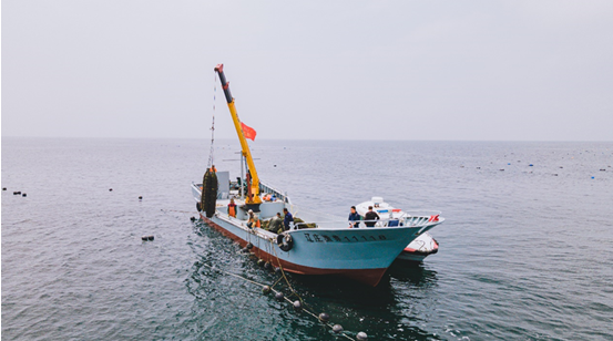 八"鲜"出海遨游盒马店 盛夏如何抢"鲜"?|海鲜_新浪财经_新浪网