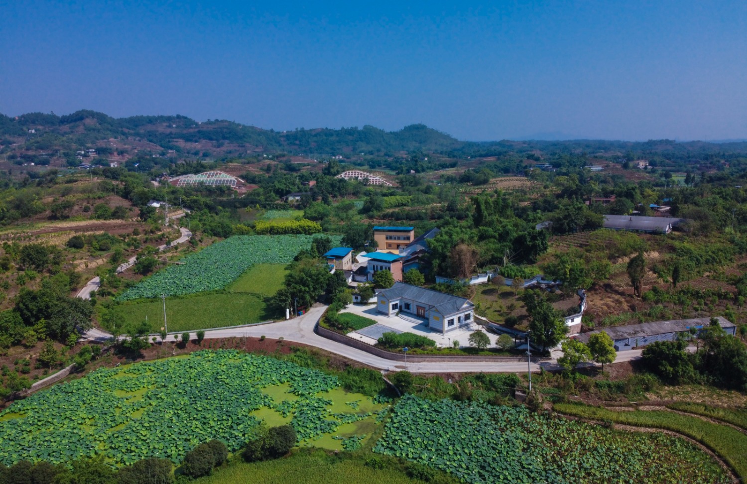 图:广普镇农村四好公路一段