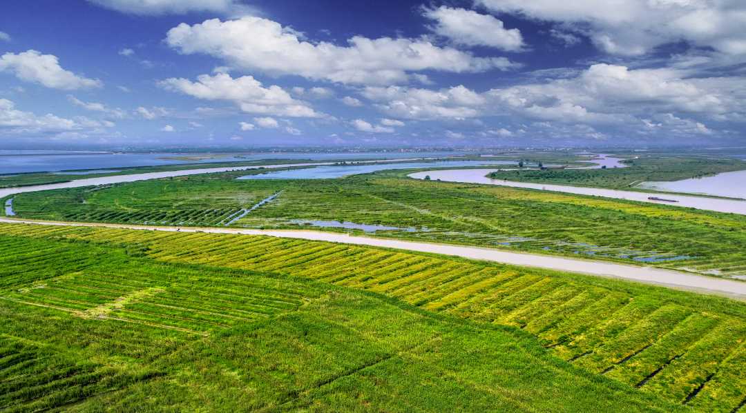 西洞庭湖半边湖生态修复示范区.童忠平摄