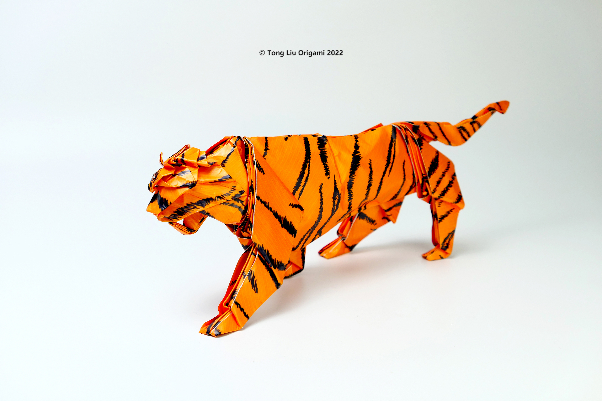 折纸大师刘通叠纸老虎献给全球老虎日|老虎_新浪财经_新浪网