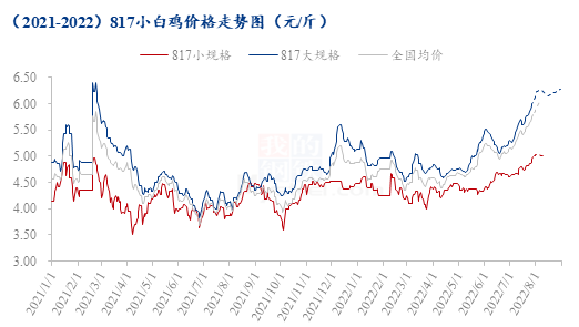 数据来源:钢联数据