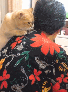 图片来源：soogif.com（图文无关）