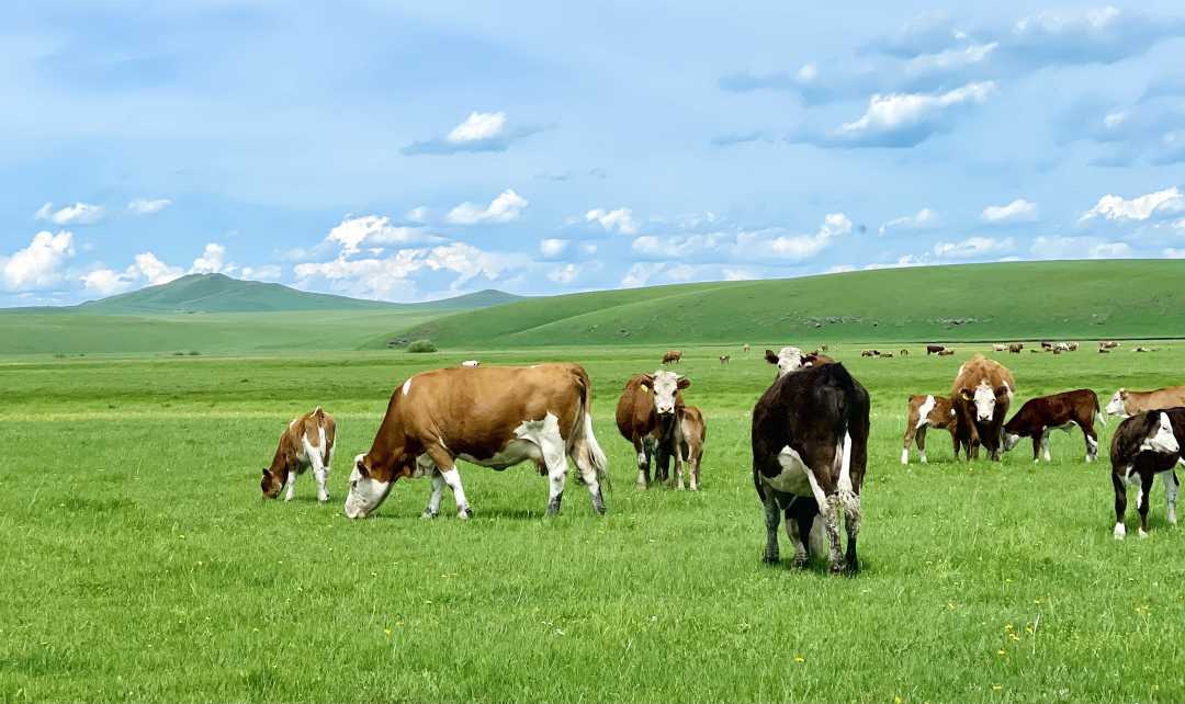 96%)环境(集团)股份有限公司研发中心草原生态系统研究院研发人员胡努