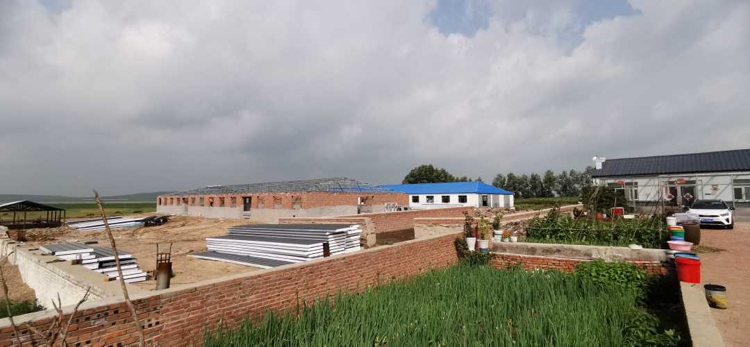 李宗宇家建设中的牛棚.经济日报记者 余健摄