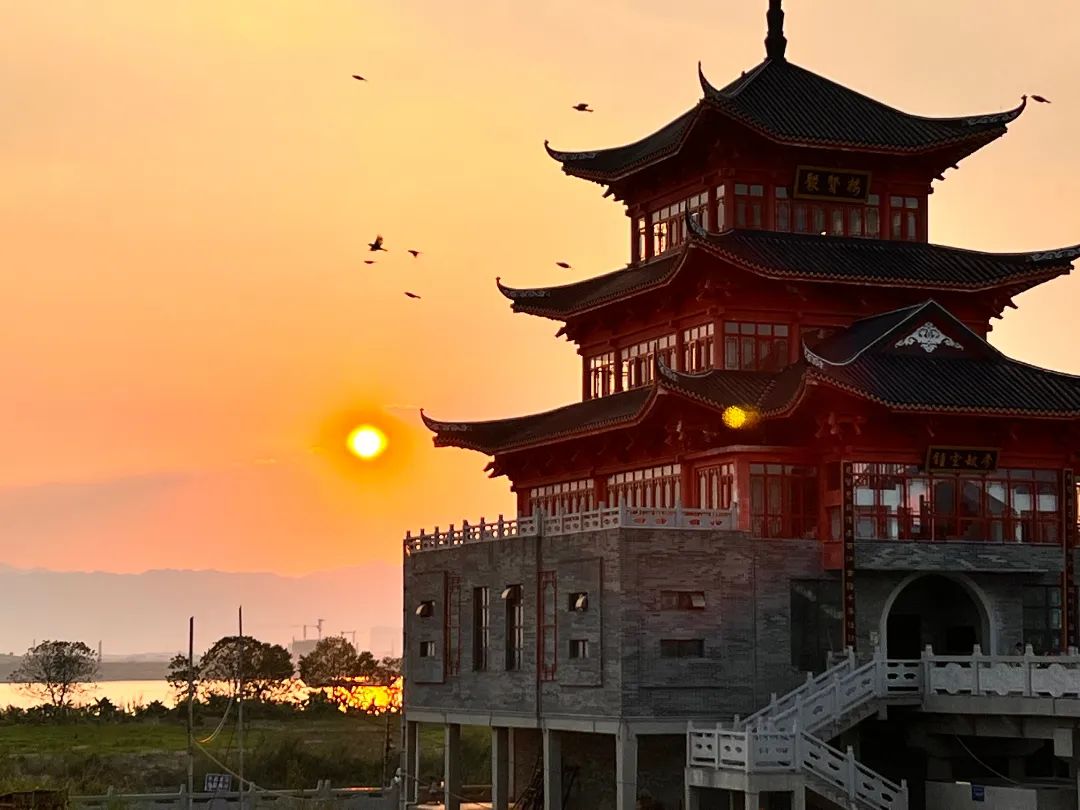 小桥流水人家,探访白坭盛夏最美的风景 | 我要上佛山发布|西江_新浪