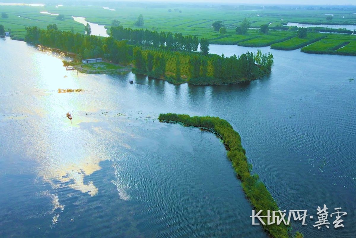 航拍白洋淀.长城网·冀云客户端记者&nbsp;马宁 摄