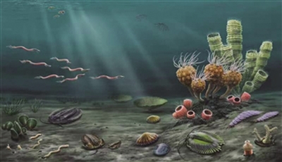 不可逆的恒星演化是否能决定宇宙的命运，绝对能，但只...