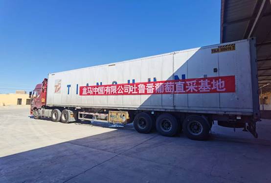 图说：新疆水果节期间，每天都有这样的超大货车开往全国各地。