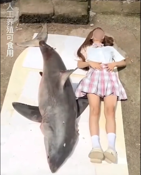 图/视频截图