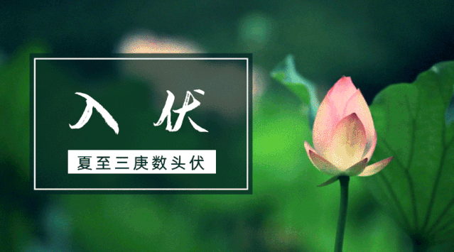 （图片来自网络）