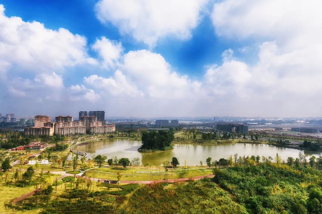 成都新津产业建圈强链拼出经济韧劲