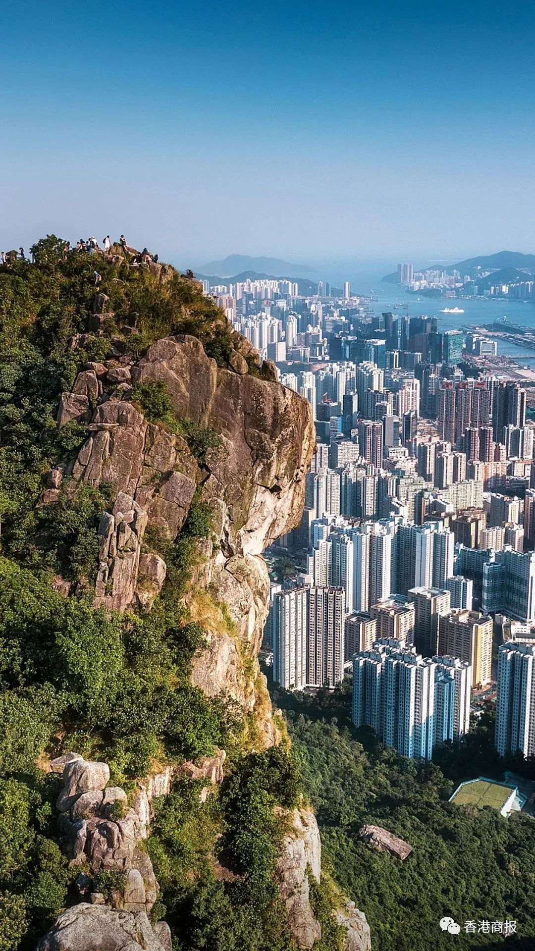 狮子山下的城市景观