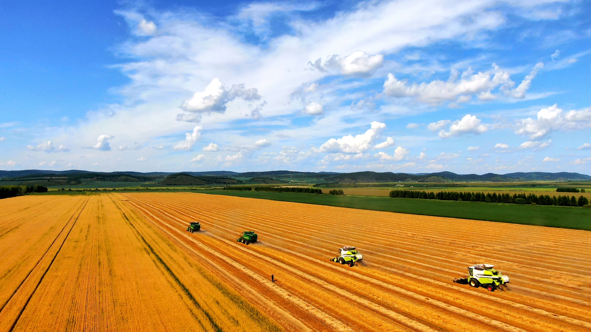 大型农机协同作业公司农业发展部副部长潘栋梁开介绍说:"在同一块地