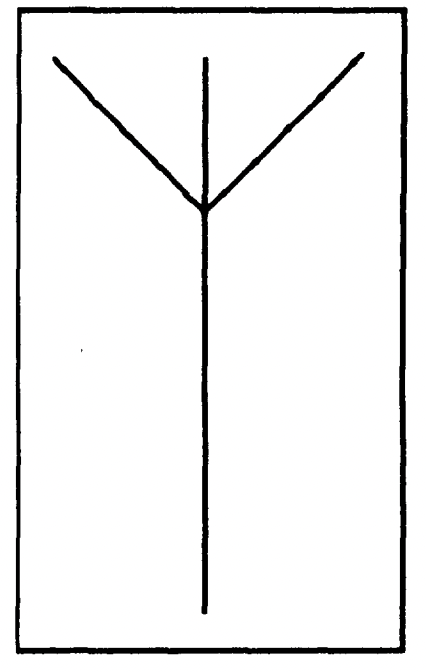 存儲進 DNA 的小維納斯（microvenus）圖片 來源：相關論文