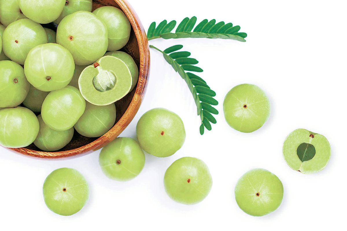 油柑 食用上千年的新"网红"_新浪财经_新浪网