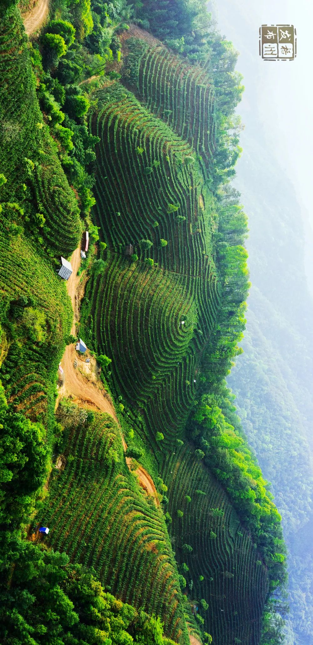 六堡镇山坪村,原生态环境得天独厚,瑶寨风情淳朴.