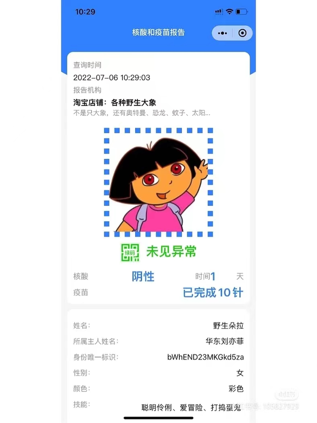 野生大象的绿码/图源网络
