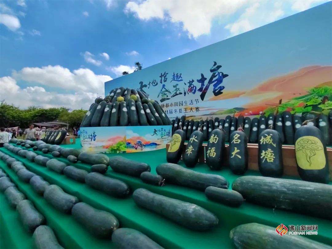 03斤!三水大塘"冬瓜王"诞生|农产品_新浪财经_新浪网