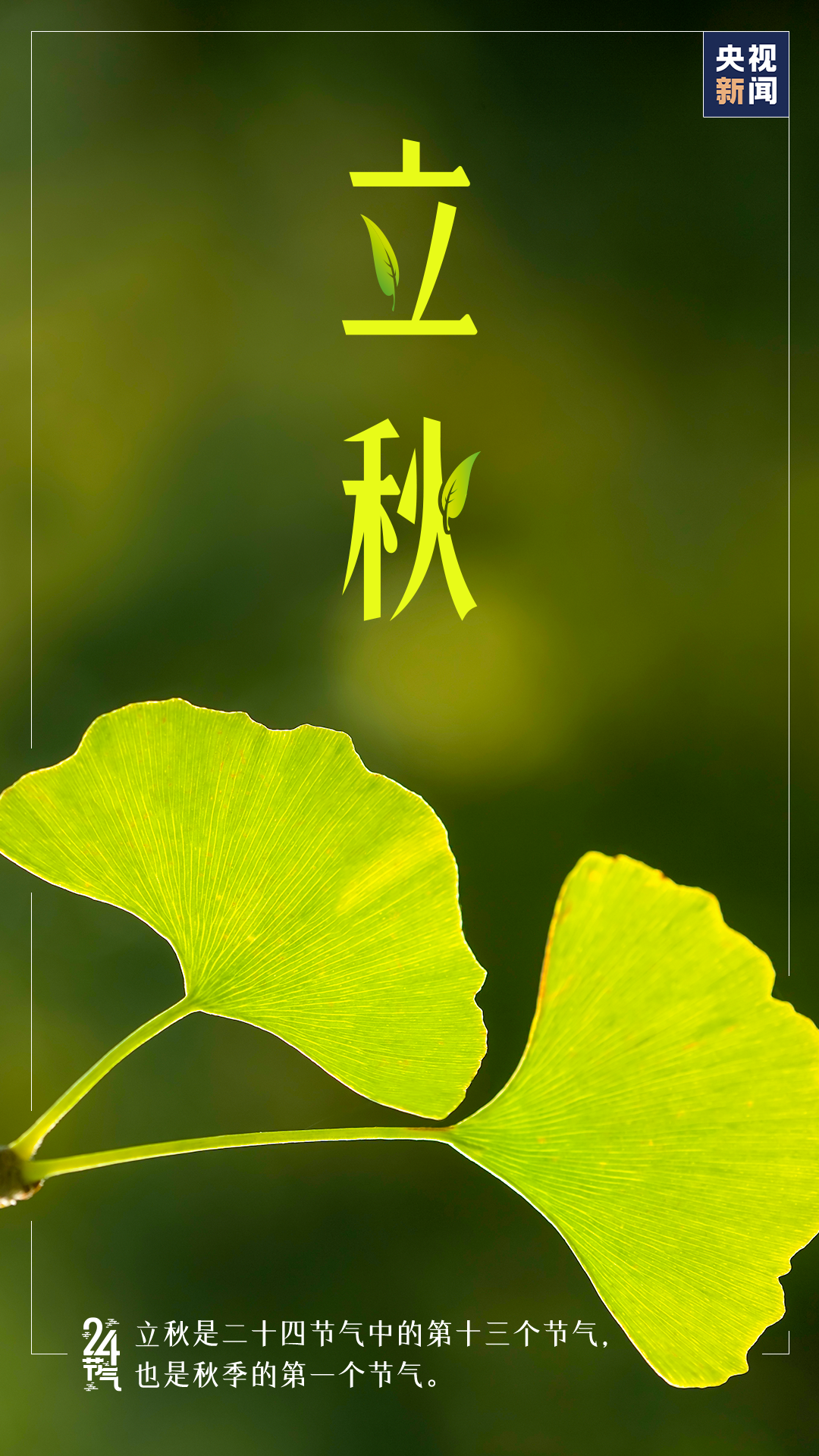 【节气】今日,立秋