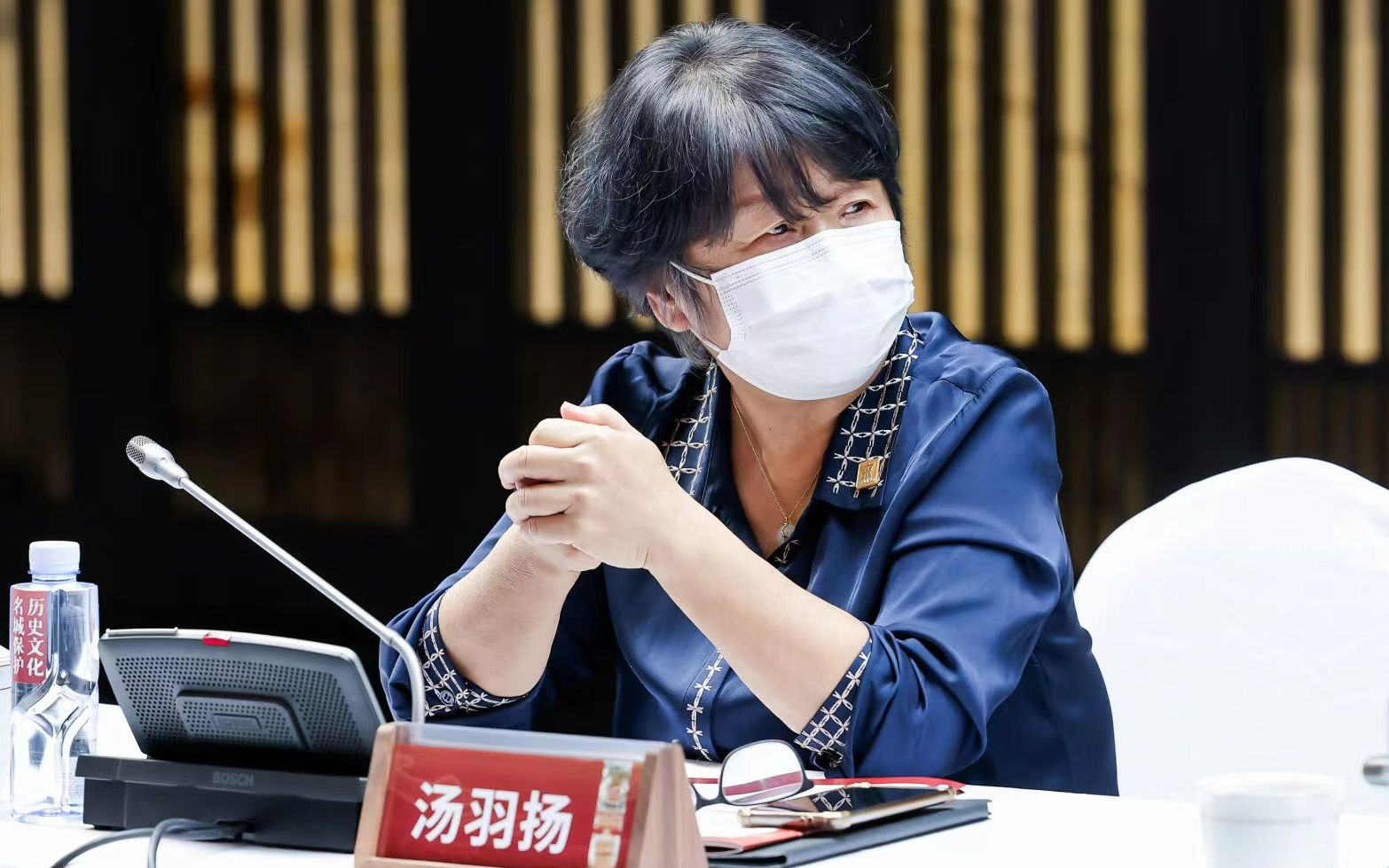 北京长城文化研究院常务副院长汤羽扬.主办方供图