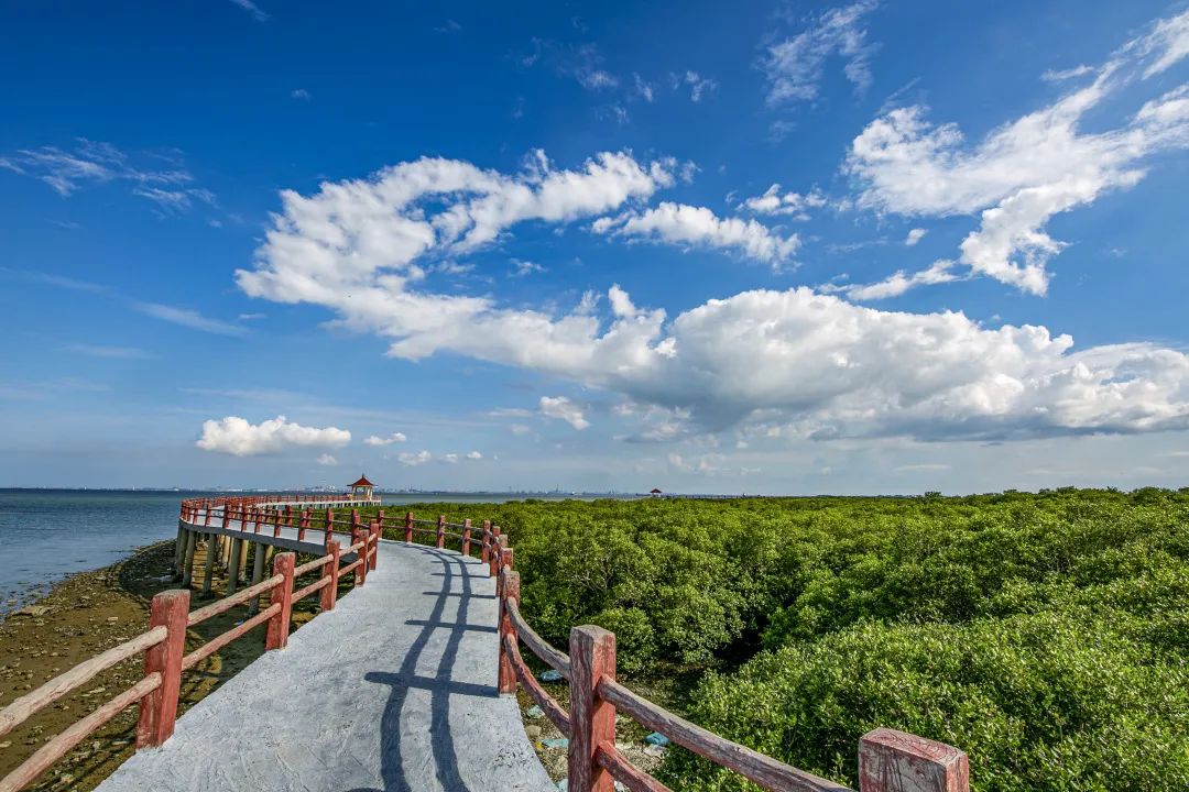 好氧人湛江上半年空气质量优良率989