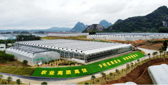 广西平桂高效现代农业助推乡村振兴